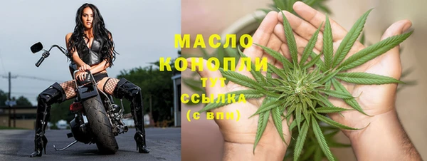 прущие грибы Дмитриев