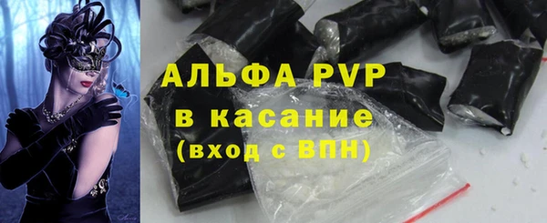 прущие грибы Дмитриев