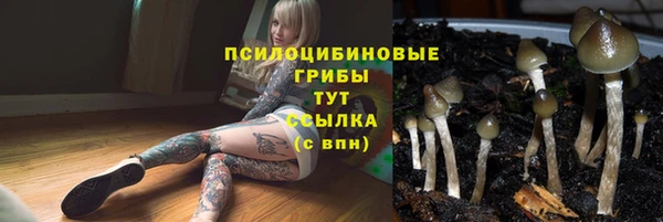 MESCALINE Дмитров