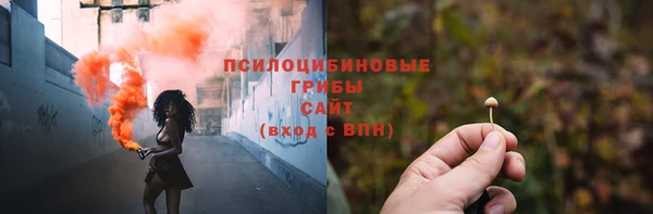 Альфа ПВП Дмитровск