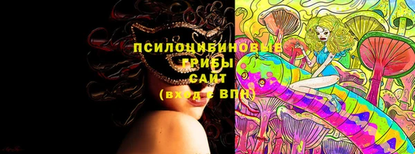 прущие грибы Дмитриев