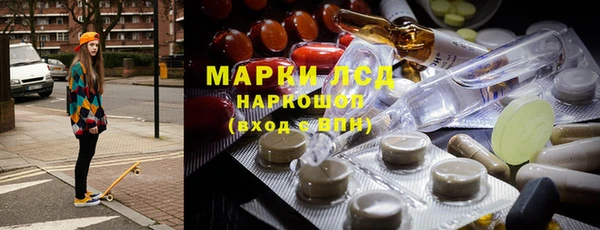 прущие грибы Дмитриев