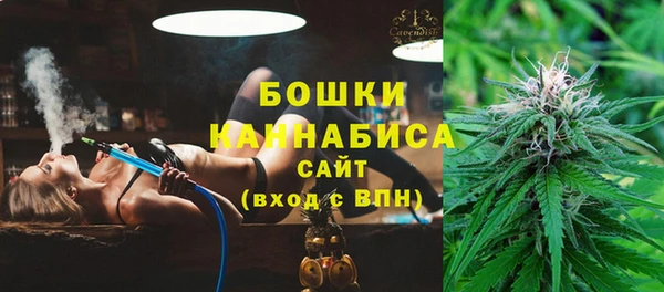 прущие грибы Дмитриев