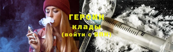 прущие грибы Дмитриев