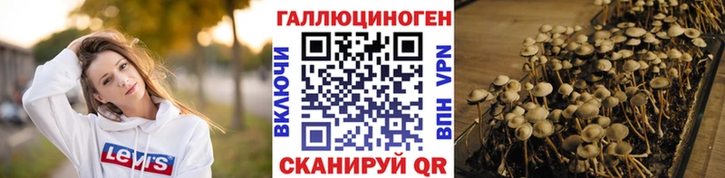 Псилоцибиновые грибы Psilocybine cubensis  нарко площадка наркотические препараты  Дрезна 